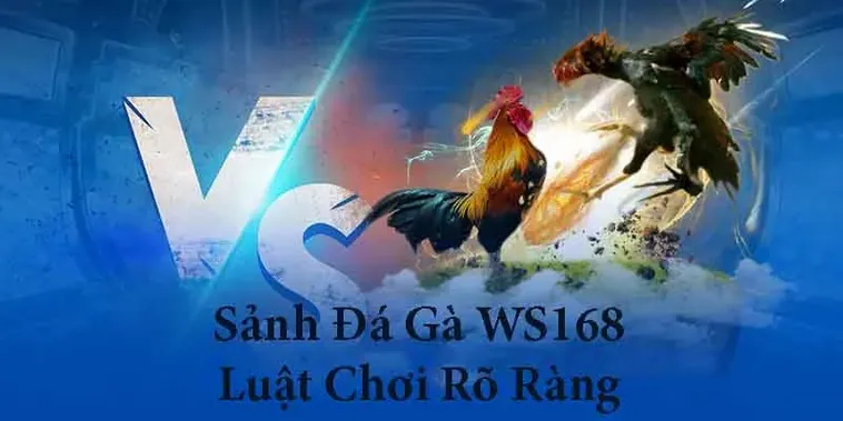 Hướng Dẫn Cách Chơi Đá Gà WS168 Tại C54 Chi Tiết Nhất 1 Hướng Dẫn Cách Chơi Đá Gà WS168 Tại C54 Chi Tiết Nhất