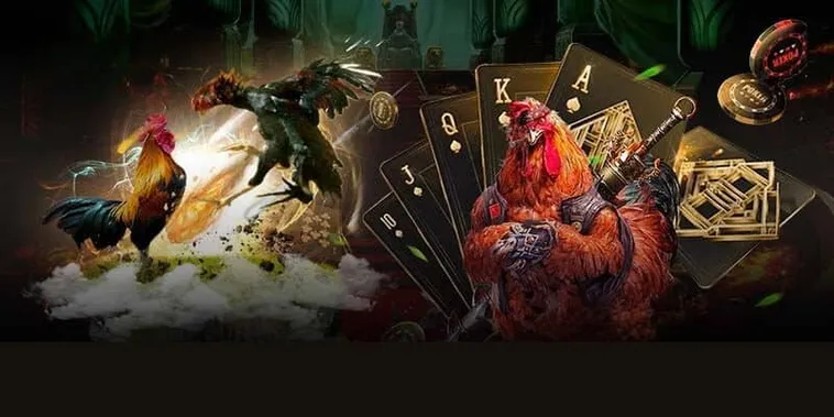 Cách Chơi Đá Gà GA28 Tại C54 - Hướng Dẫn Chi Tiết Cho Bet Thủ 1 Cách Chơi Đá Gà GA28 Tại C54 - Hướng Dẫn Chi Tiết Cho Bet Thủ