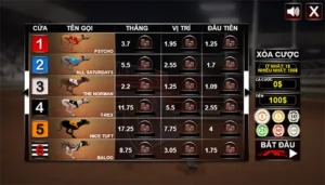 Cách Chơi Game Nhanh Đua Chó Tại C54 Hiệu Quả Nhất