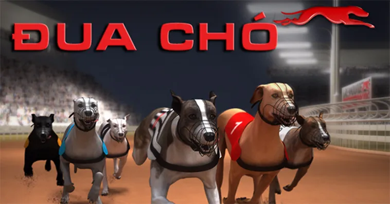 Cách Chơi Game Nhanh Đua Chó Tại C54 Hiệu Quả Nhất 2 Cách Chơi Game Nhanh Đua Chó Tại C54 Hiệu Quả Nhất