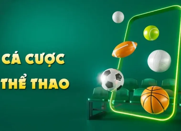 Thể Thao C54 - Nền Tảng Cá Cược Thể Thao Hàng Đầu Việt Nam